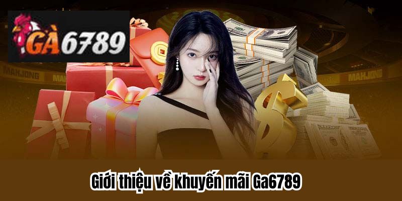 Nhà cái hỗ trợ thành viên tận tâm, triển khai nhiều khuyến mãi hấp dẫn