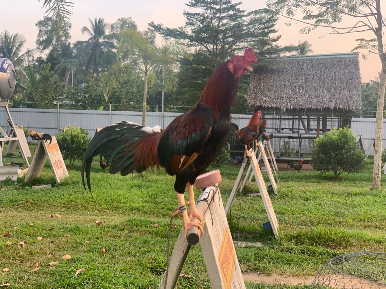 thuc-hien-luyen-tap-cho-chien-ke